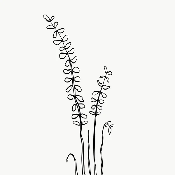 Botanische Bladeren Lijn Kunst Abstracte Moderne Minimale Planten Lijn Perfect — Stockvector