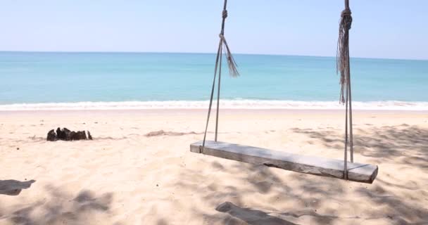 Balançar Vento Uma Praia Macia Com Mar Azul Contra Céu — Vídeo de Stock