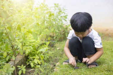 Yakın plan Asyalı çocuk portresi düz siyah saçlı, beyaz tişörtlü, siyah pantolonlu, sebze bölümünde salyangozlarla oynayan mutlu yüzler çiziyor..