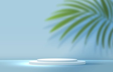 Ürün markalaştırma ve paketleme sunumu için kozmetik açık mavi arka plan minimal ve premium podyum görüntüleme. Stüdyo sahnesinin arka planında yaprak var. 3B illüstrasyon tasarımı.
