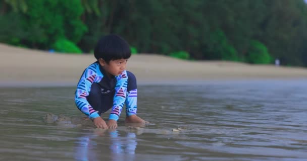 Asiatique Garçon Noir Coiffé Maillot Bain Jouant Joyeusement Creusant Des — Video