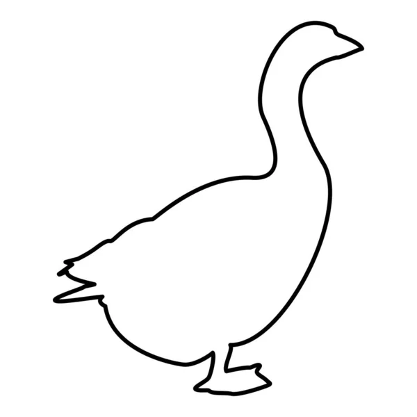 Oie Gosling Oies Anser Gander Contour Contour Contour Noir Illustration — Image vectorielle