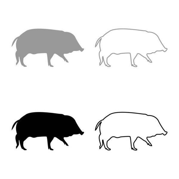 Wild boar Hog wart Swine Suidae Sus Tusker Scrofa silhouette grey black color vector illustration solid outline style simple image