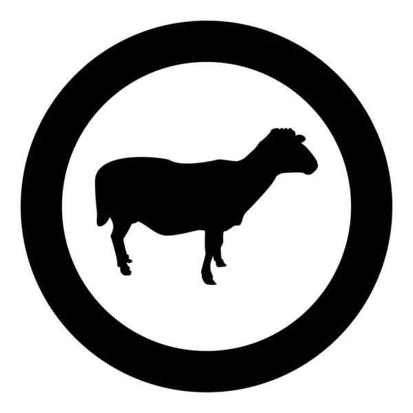 Moutons Brebis Bétail Domestique Ferme Animal Saboté Agneau Bétail Silhouette — Image vectorielle