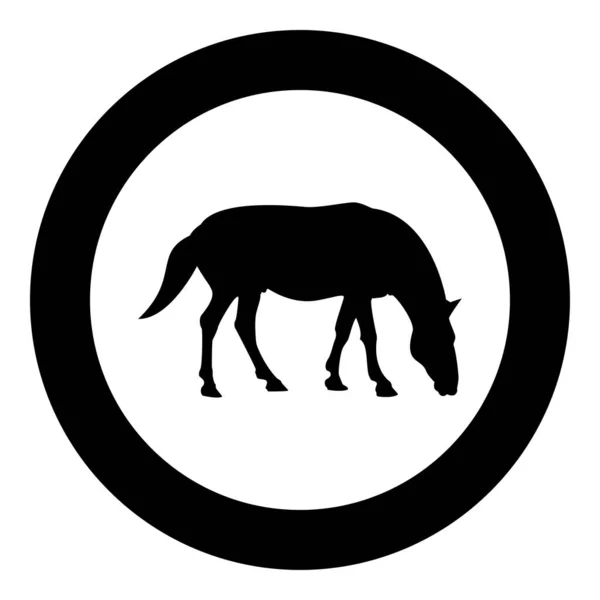 Cheval Cheval Étalon Équin Pur Sang Silhouette Mustang Cercle Rond — Image vectorielle