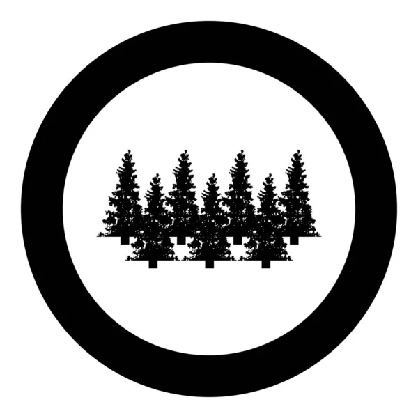 Fir Tree Christmas Coniferous Spruce Pine Forest Evergreen Woods Conifer — Vetor de Stock