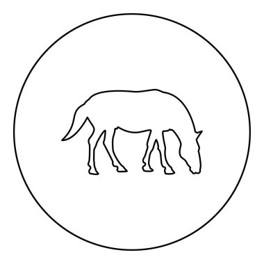 Steed Horse Equestrian Atlı safkan Mustang silueti yuvarlak siyah renk vektör illüstrasyon hatları basit resim