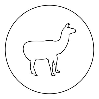 Alpaca Lama Lama Guanaco silueti yuvarlak siyah renk vektör çizimi dış hatları basit resim