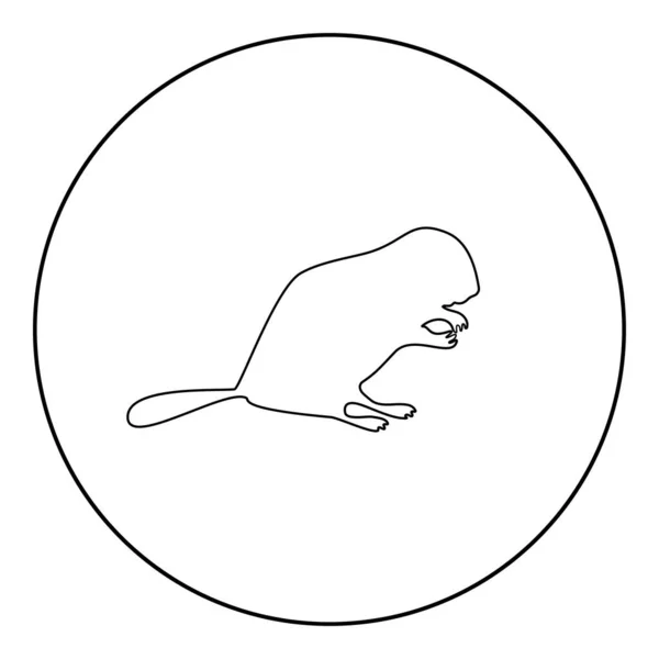 海狸动物啮齿类动物圆形圆形黑色矢量轮廓轮廓轮廓轮廓轮廓造型简图 — 图库矢量图片