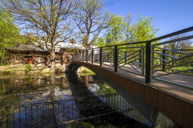 Güneşli bir bahar gününde parkta göl. Söğüt ağacı, yeşil yaprakların daha yeni ortaya çıkmaya başladığı suyun üzerine eğilmişti..