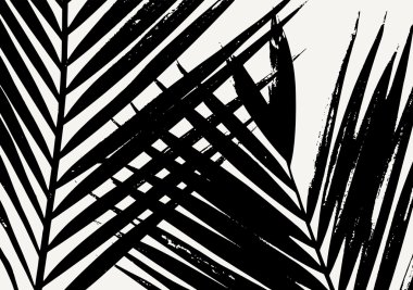 Palmiye yaprak afiş tasarımı