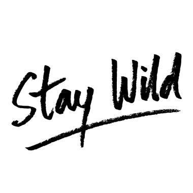 Motivasyonel alıntı posteri