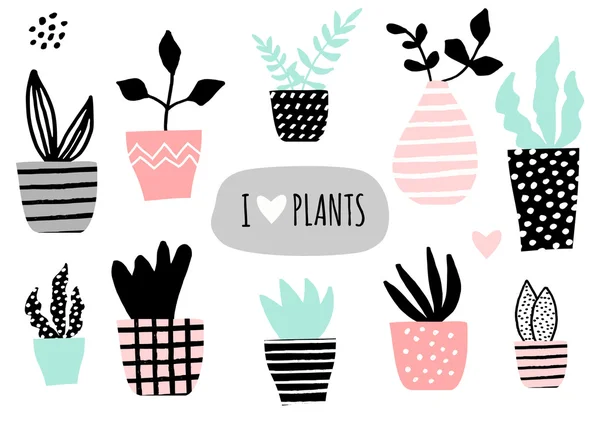 Maison Collection de plantes — Image vectorielle