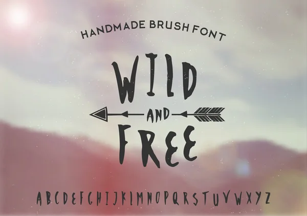 Wild en Vrije Hand getrokken lettertype — Stockvector