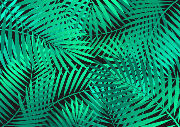 зеленые пальмовые листья