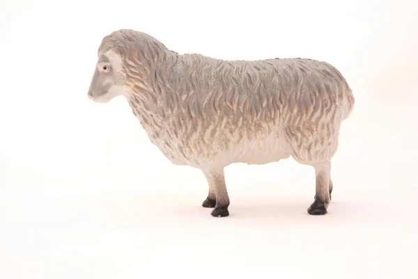 Sheep plastic toy — Stock Photo, Image