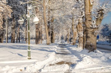 Makedonya 'nın Bitola kenti parkında kar yağıyor 