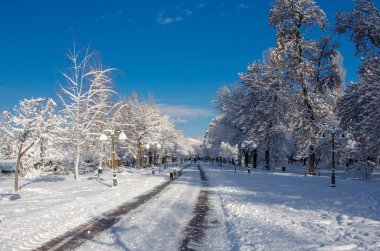 Kış Masalı - Makedonya 'nın Bitola kenti Park' ta kar yağışıweather forecast