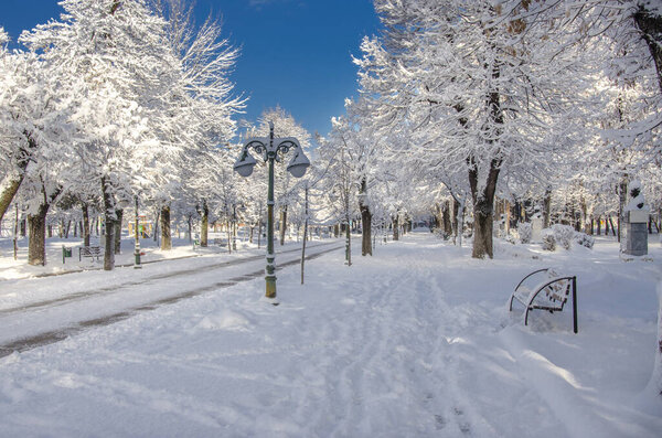 Macedonia Bitola city Snow in city park during winter
