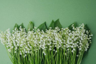 Soluk yeşil arka planda yaprakları olan vadiden taze zambak.