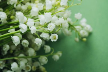 Vadi çiçeklerinin beyaz zambaklarına yaklaş makro arka plan