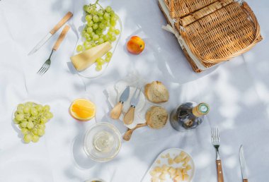 Gurme, taze yiyecek ve yaz tatili kavramları için piknik örtüsü üzerinde şarap, peynir, ekmek ve meyve manzarası