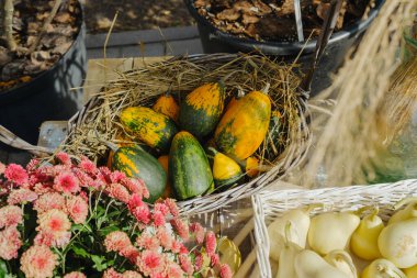Süslü kabakları dokuma sepetinde pembe anneler ve beyaz armutlarla hasat edin.