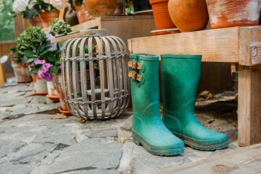 Bahçecilik ve çiçekçilik için ortanca çiçekleri ve lastik çizmeleri olan sanatsal bir düzenleme