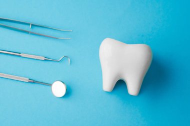 Beyaz diş modeli ve parlak mavi arkaplanda kopya alanı olan diş araçları