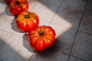 Fresh heirloom tomatoes lined up on tiled surface with dramatic sunlight and shadows