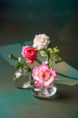Yumuşak ışıkla dokulu yeşil bir yüzey üzerinde berrak cam vazolarda açan üç narin gül..
