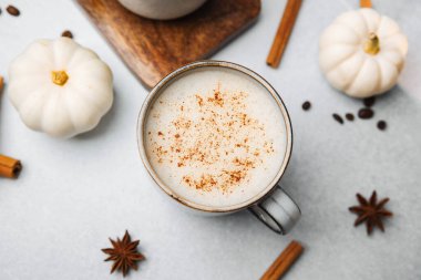 Warm creamy autumn drink sprinkled with cinnamon near small white pumpkins and spices.