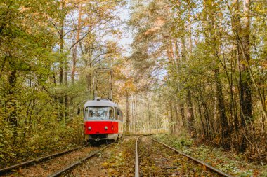 Eski bir tramvay huzurlu bir orman ortamında dolambaçlı yollar boyunca seyahat eder..