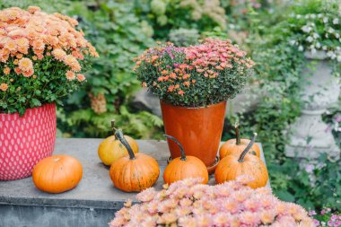 Orange chrysanthemums and pumpkins sit on a stone ledge with lush greenery