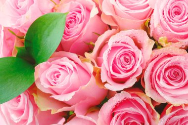 Düğün çiçekleri ve romantik güzellikler için pembe güllerin çiçek açtığı yakın plan.