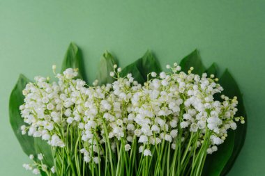 Beyaz çan şeklinde çiçekleri ve yeşil yaprakları olan vadili zambak.