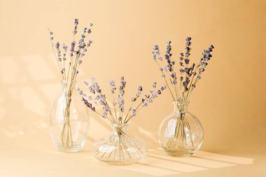 Şeffaf cam vazolarda sıralanmış lavanta çiçekleri.