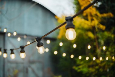 Dışarıdaki bir kabloda sallanan sıcak ampul dizisi yeşilliğin yumuşak arka planına karşı.