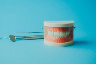 Diş modeli ve diş temizliği ve bakımı için mavi arka plan araçları