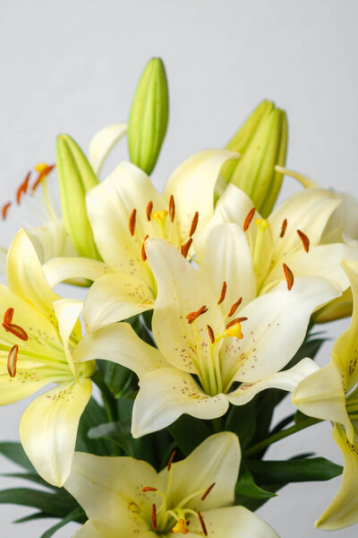 Yellow lily bouquet  with soft light