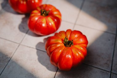 Doğal ışıkta seramik yüzeyinde su damlacıkları olan olgun kırmızı aile yadigarı domatesler..