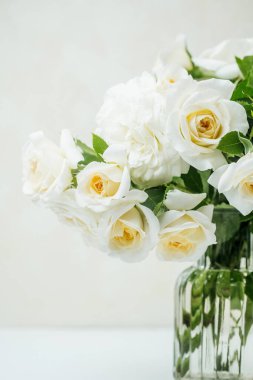 Yumuşak doğal ışıkta yeşil yapraklı beyaz gül buketine yaklaş