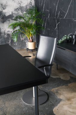 Sandalye ve Bitki Dekorlu Modern Ofis Masası