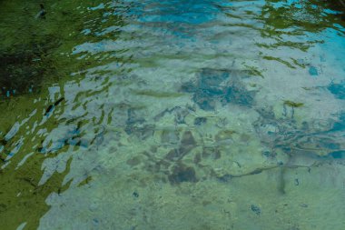 Suya batmış kayalar ve derinlerde huzur içinde yüzen küçük balıklarla temiz göl suyu yüzeyi..