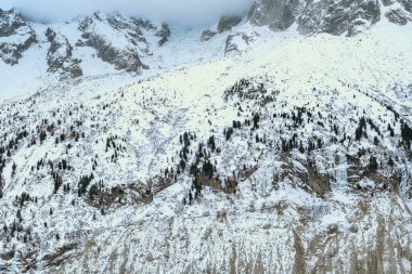 Dağınık çam ağaçları ve kayalık çıkıntılarla kaplı engin kar manzarası