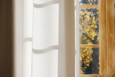 Perdeler kısmen açık. Tahta bir pencere camından sonbahar ağacı yaprakları çıkıyor.