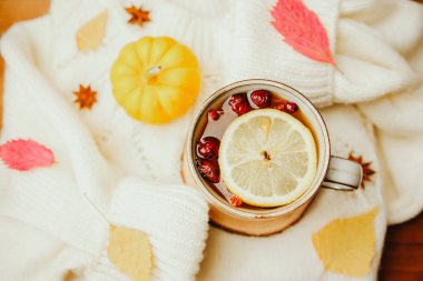 Yumuşak bir süveterin üzerinde limon ve böğürtlenlerle dolu sıcak bir sonbahar içeceği. Etrafı yapraklarla ve küçük bir balkabağıyla çevrili..