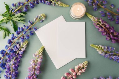 Zarflı kart ve yeşil arka planda lupin çiçekleri