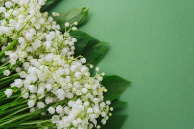 Yeşil arkaplanı olan bir demet nilüfer çiçeği.