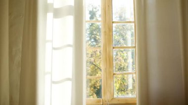 Yumuşak ışık, yumuşak perdelerin arkasında sonbahar ağaçları görünen ahşap pencere camından akar..